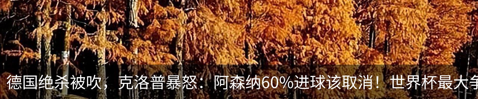 行业资讯